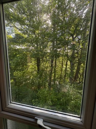 景觀, Alston Hostel in 阿爾斯通鎮中心