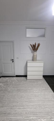 Studio 2, Tîrgu Neamţ (photo 5)