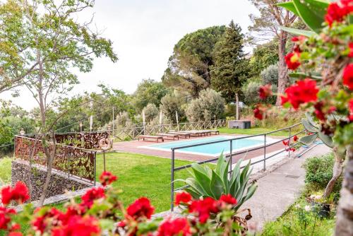 Villa Tecla - Torre del Lauro