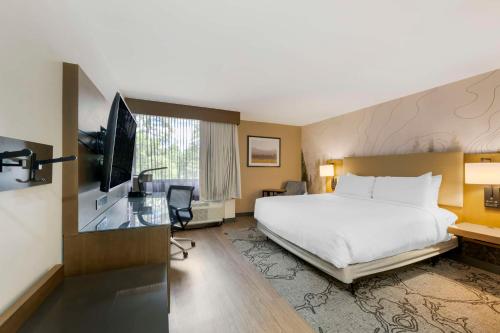 Aiden by Best Western @ Flagstaff Room Type - King Room