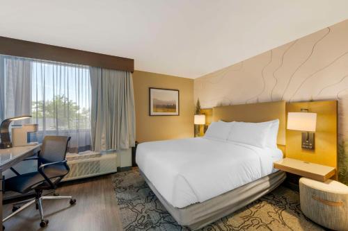 Aiden by Best Western @ Flagstaff Room Type - Queen Room - Mobility Access