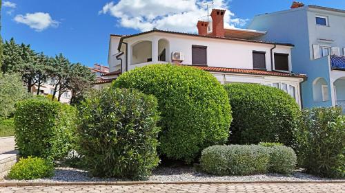 Apartments Gloria - image 2