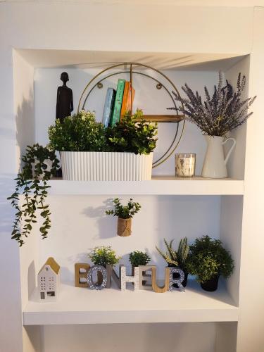 Sweet cozy studio, Antverpy (fotografie 10)