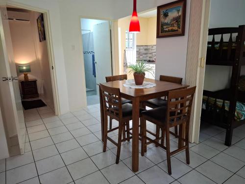 Tropical Palm Retreat in 威廉斯塔德市中心