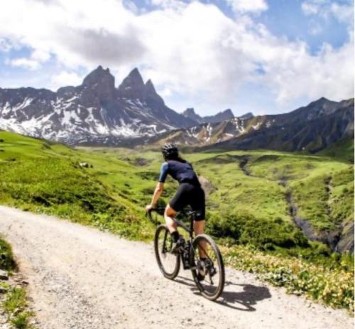 Appartement chalet a la montagne in Albiez-Montrond