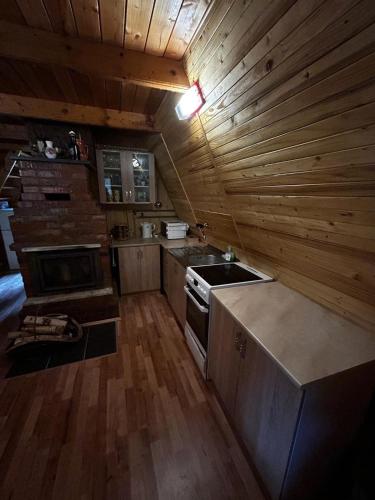 Kitchen, Lenivka in Teplicka