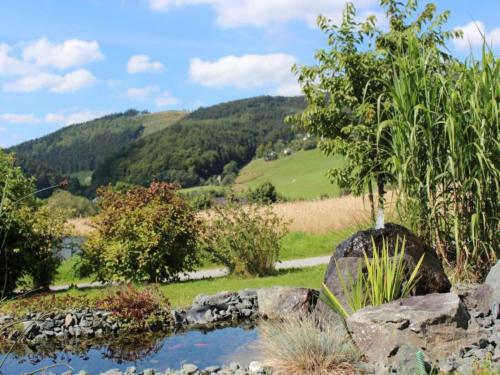 A környék, Ferienwohnung in der Nahe von Willingen in Rattlar