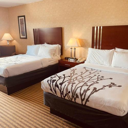 2 double beds