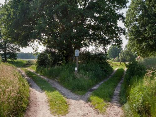 Apkārtne, Chalet in Netherlands with Private Garden in Dinkelland