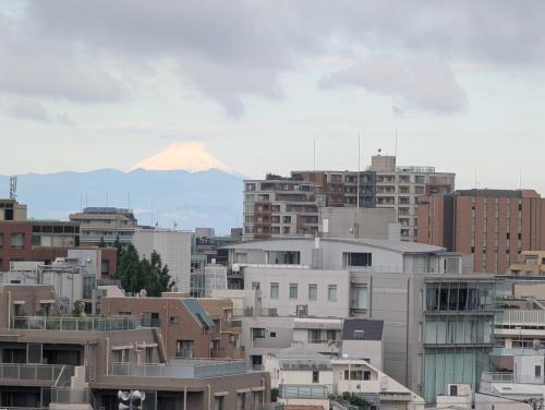 Ebisu Top floor 1BR Condo with Mount Fuji view