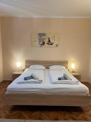 Apartment Bright & Light, Lubiana (foto 6)