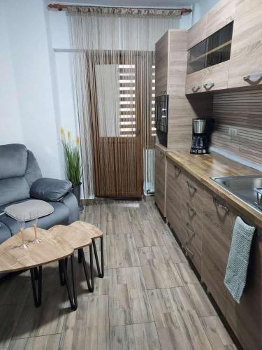Studio Ștefan, Călimăneşti (foto 6)