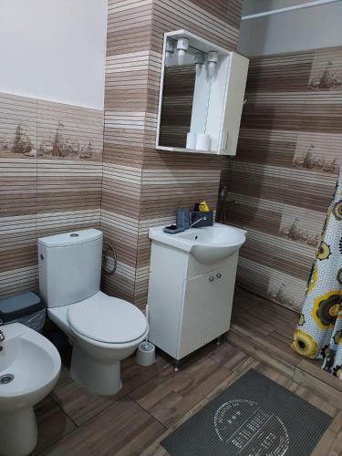 Studio Ștefan, Călimăneşti (foto 10)