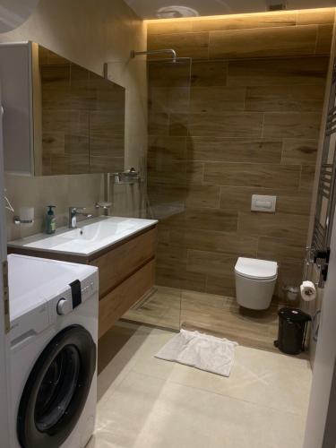 Deluxe Apartment image 7