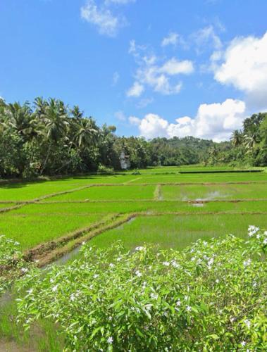 Peace Villa - Homestay - image 4