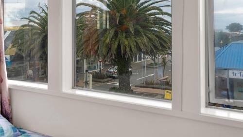 Vistas, Christchurch Backpackers and Cafe in Christchurch