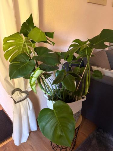 Apartment Dietze in Machern, Deutschland