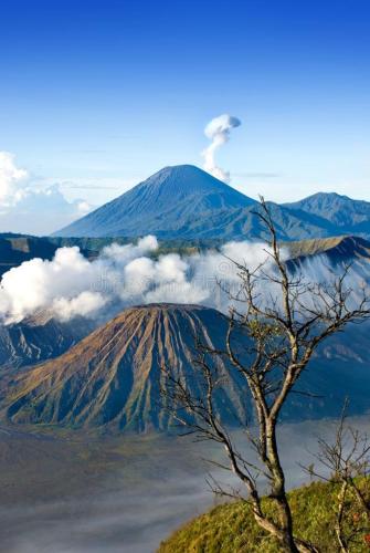 Sports and activities, Manglung Homestay in Bromo