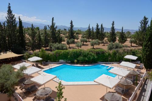 Porcel Alixares, Granada