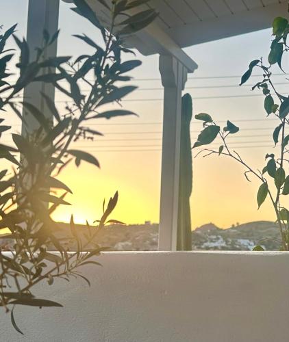 Galanis Sweet Home Milos - image 13