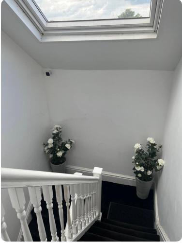 Hidden Hideaway by the Beach, Rhyl (foto 10)