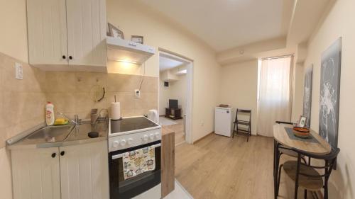 One-Bedroom Apartment image 10