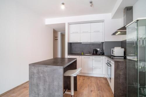 Chic Urban 1BR and Easy Parking, Bratislava (fotografie 9)