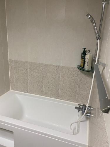 Shower, Sky lounge with Han River view, Ilsan Lake Park, KINTEX, Goyang Sports Complex, Gimpo Airport- Landm in Baekseok-dong