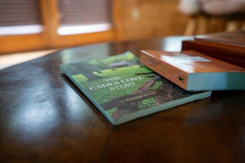 23 The Cub House Cabin in Gatlinburg, USA