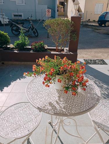 Garden, Comfort House Mimosa 1 in Itanos