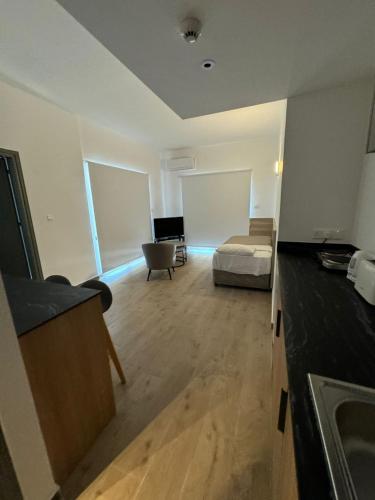 One-Bedroom Apartment  image 10