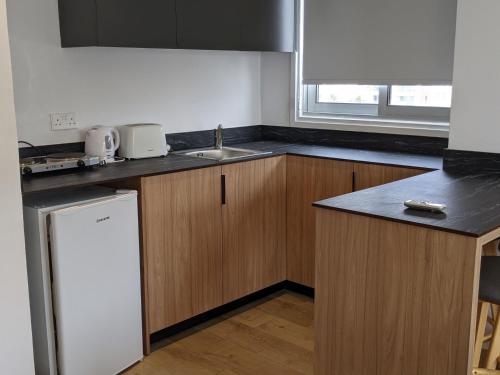 One-Bedroom Apartment  image 9