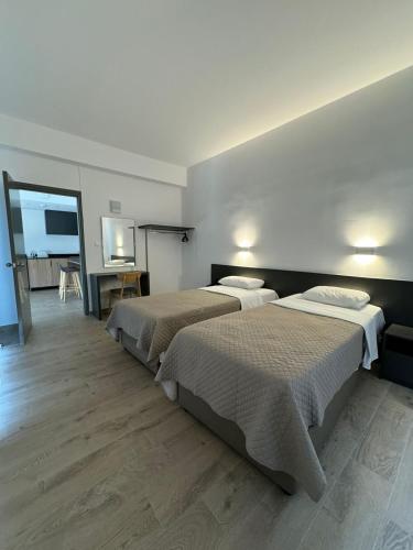 One-Bedroom Apartment  image 3