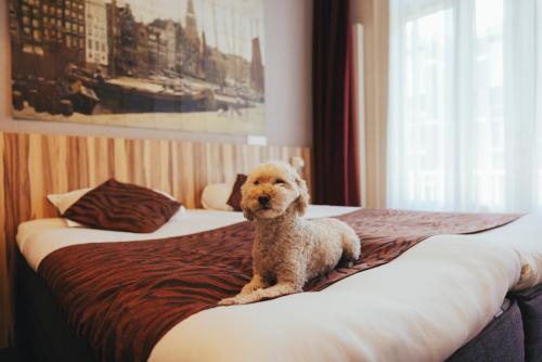 Hotel Asterisk, a family run hotel