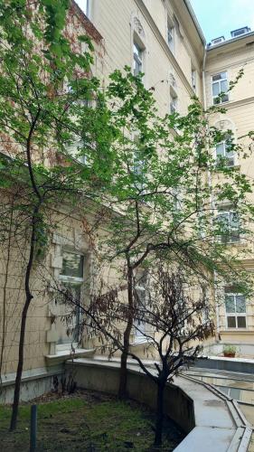 Ibis Styles Budapest Center, Budapeszt (zdjęcie 2)
