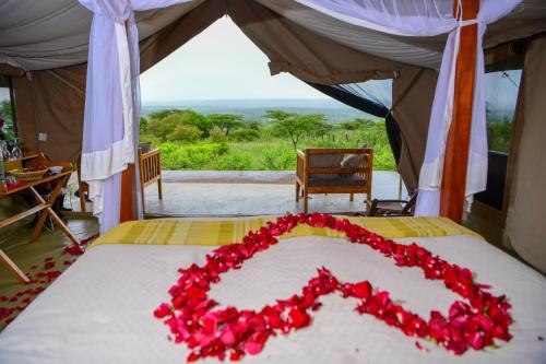 Oldarpoi Mara Camp Room Type - Deluxe Queen Room