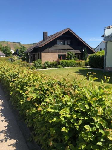 Ferienwohnung "Bella Mosel" in 里奧爾