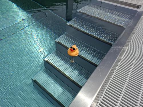 2 queen beds
