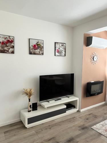 Apartmani Gandi - image 2