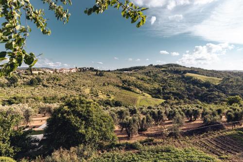 Relais Villa L'Olmo
