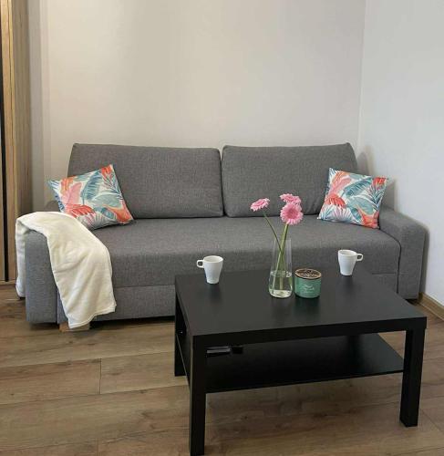 Apartament Olesno Centrum