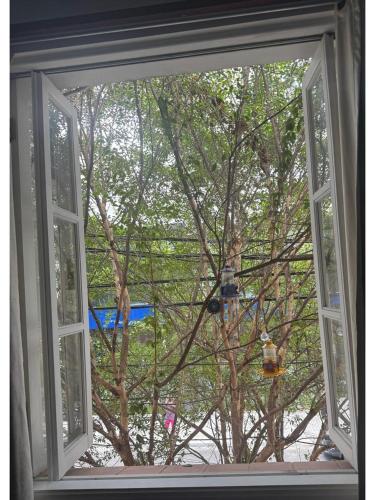 Casa Saint Hilaire, Sao Paulo (photo 8)