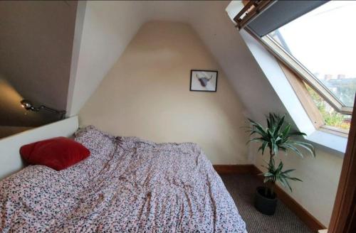 Cute D3 Cottage, Dublin (Foto 7)