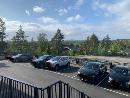 Peer Gynts vei 77 in Moss