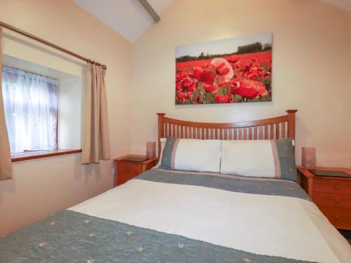 Cosy Cottage Liskeard - image 13