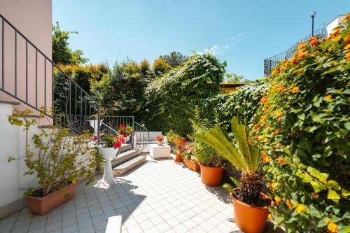 La Vispa Teresa - main image