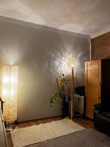 Cozy one room apartment in the nice Kalamaja district, Tallin (foto 6)