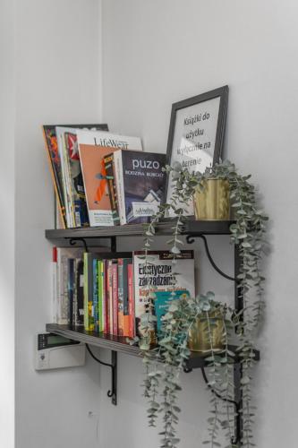 Hostel Coco - image 11