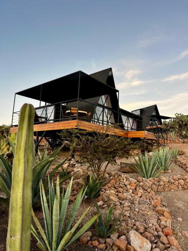 Hotel Coyote, San Miguel de Allende