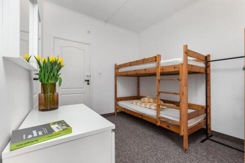 Hostel Coco - image 8